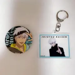 呪術廻戦 グッズ まとめ売り 大量 缶バッジ アクリルスタンド 五条悟 呪術廻戦 五条悟 まとめ売り アクリルスタンド、缶バッジ等 総額