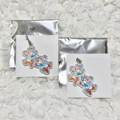 ディズニーシー 25周年 ポテトスナック チャーム チップ&デール 2点セット