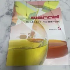 月刊しんびよう マルセル 2004年5月号 褪色の世界