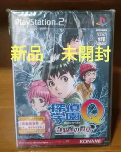 PS2ソフト 探偵学園 Q ～奇翁館の殺意～ 初回生産版 特典ノーベルズ付