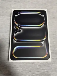 iPad Pro11インチ m4 256GB Wi-Fiモデル 充電器新品