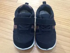 Item thumbnail for item f09ce313-e294-4885-b009-04dd4fa236af