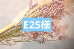 専用ページ