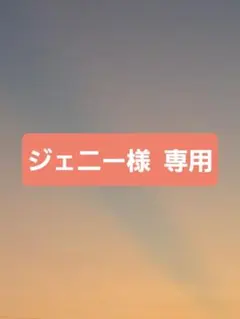 ジェニー様 リクエスト 3点 まとめ商品