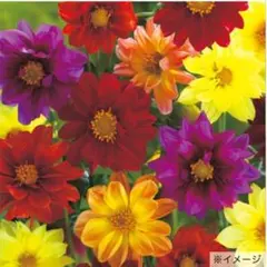 たまみ様 リクエスト 4点 まとめ商品