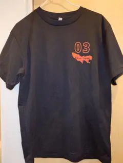 Item thumbnail for item 19db2297-f818-40f8-9494-3a526c8c32c2