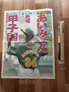 あいみょん 甲子園 ガチャ マグネット 豆タオル キーホルダー - メルカリ