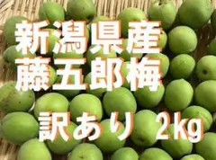 藤五郎梅 ラストセール！新潟県産 2kg 2700円◇梅干し 梅酒用 - メルカリ