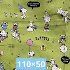 Item thumbnail for item 7423c617-a86b-4542-aad3-d76e4a2ffa2a