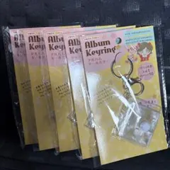 ⭐️早い者勝ち・最安値⭐️ セリア　アルバムキーホルダー　5個セット