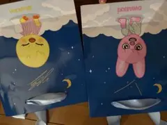 SKZOO 紙袋 2枚セット BbokAri DWAEKKI