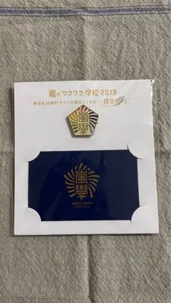 嵐 / ワクワク学校2019