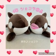 2026年最新】オルカくじ 1等の人気アイテム - メルカリ