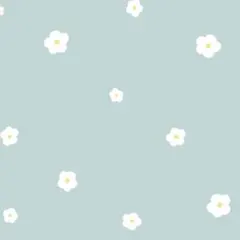 Ha様専用出品①