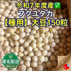 Akari様 リクエスト 2点 まとめ商品