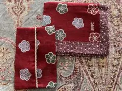 Item thumbnail for item 890aff71-1212-4325-9687-955603723ff2