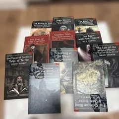 洋書　Nicholas Sparks 21冊　まとめ売り Nicholas Sparks 洋書 21冊セット - メルカリ