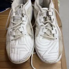 NIKE ZOOM FREAK ホワイト　バスケットボールシューズのサムネイル