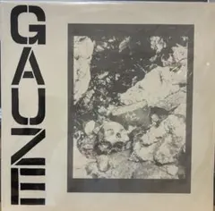 GAUZE EQUALIZING DISTORT ジャパコア　レコード