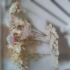 2026年最新】セルリアの人気アイテム - メルカリ