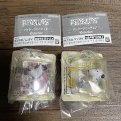PEANUTS パッケージミニチュアコレクション スヌーピー 2個