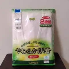 新品グンゼ やわらか肌着 半袖U首 L 2枚セット 抗菌防臭加工 綿100%