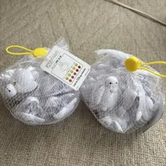 ディズニーリゾート　クリップ10個入り　2袋