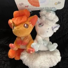 2026年最新】磁石 にたものどうしの人気アイテム - メルカリ