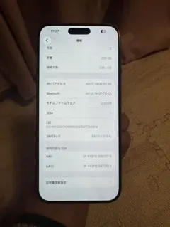 海外版iPhone 16 Pro Max 256GB,美品,バッテリーは100％