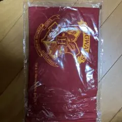 Item thumbnail for item e1631ed5-2d48-4358-9dd6-9abfcb2a4900