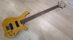 Grassroots G-T-65ELのサムネイル
