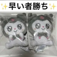 QY様専用　ゆるかわ サンリオ マスコット クロミ 表情カラフル Ver.