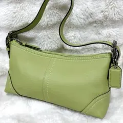 coach ワンショルダー　アクセサリーポーチ　ハンドバッグ　レザー