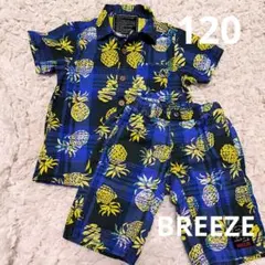 Item thumbnail for item 173f2cb6-35c0-4a71-9817-78731c9364ea