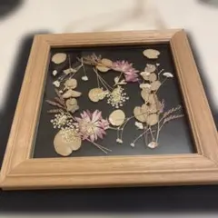押し花　９種類　アート　壁掛け　額　ドライフラワー