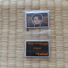 THE RAMPAGE 武知海青 アクリルマグネット