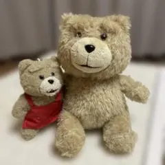 ぬいぐるみ　Ted セット