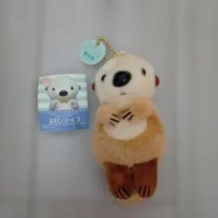 KITAN CLUB かわいいかわいいぬいぐるみ BIG ラッコB