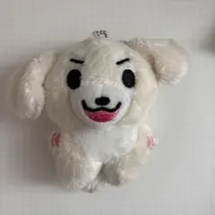 ENHYPEN ジェイク 犬のぬいぐるみ