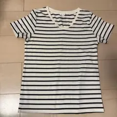 GLACIER ストライプ Tシャツ Mサイズ