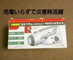 2026年最新】ヤマハ 発電機 ef7hの人気アイテム - メルカリ