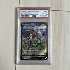 寶可夢卡牌 頸蛇龍V CSR PSA10