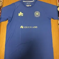 Item thumbnail for item ecfa79ee-220b-4c89-8ead-db4330837061