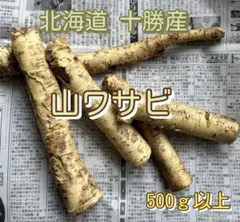 ③ 北海道 十勝産 山ワサビ 500ｇ以上のサムネイル