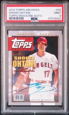 m48895872287_1.jpg?1710847022