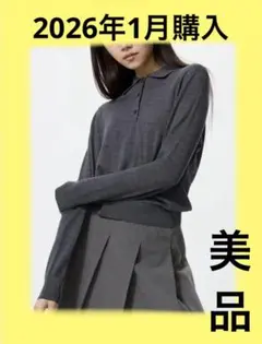 ᙏ*͚様 金曜までセール！　【UNIQLO】メリノポロセーター 07グレー M