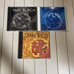 TMN BRACK BLUE RED