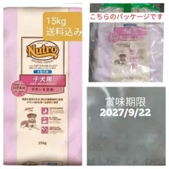 数量限定ナチュラル チョイス 中～大型犬用 チキン&玄米15kgお値下げ