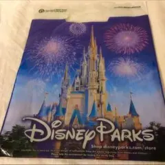 アメリカ限定 ディズニー ショップ袋