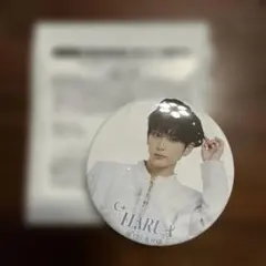 &TEAMカフェ 缶バッジB HARUA